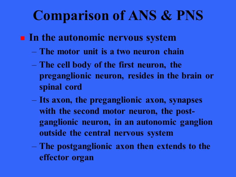 Comparison of ANS & PNS In the autonomic nervous system The motor unit is